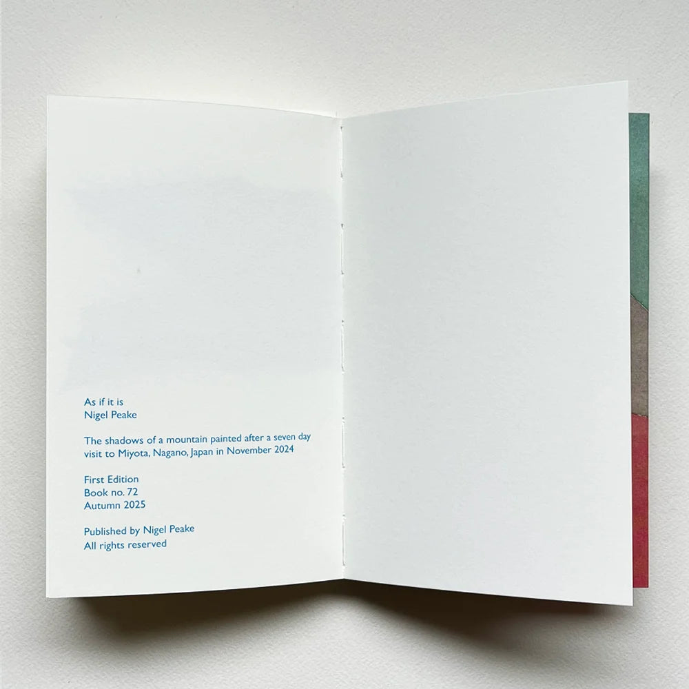 Nigel Peake - As if it is (Book)