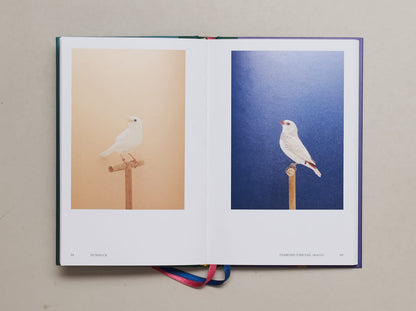 Luke Stephenson - An Incomplete Dictionary of Show Birds Vol.2