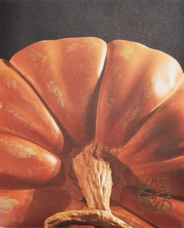 Crafted World - Jonathan Anderson’s LOEWE