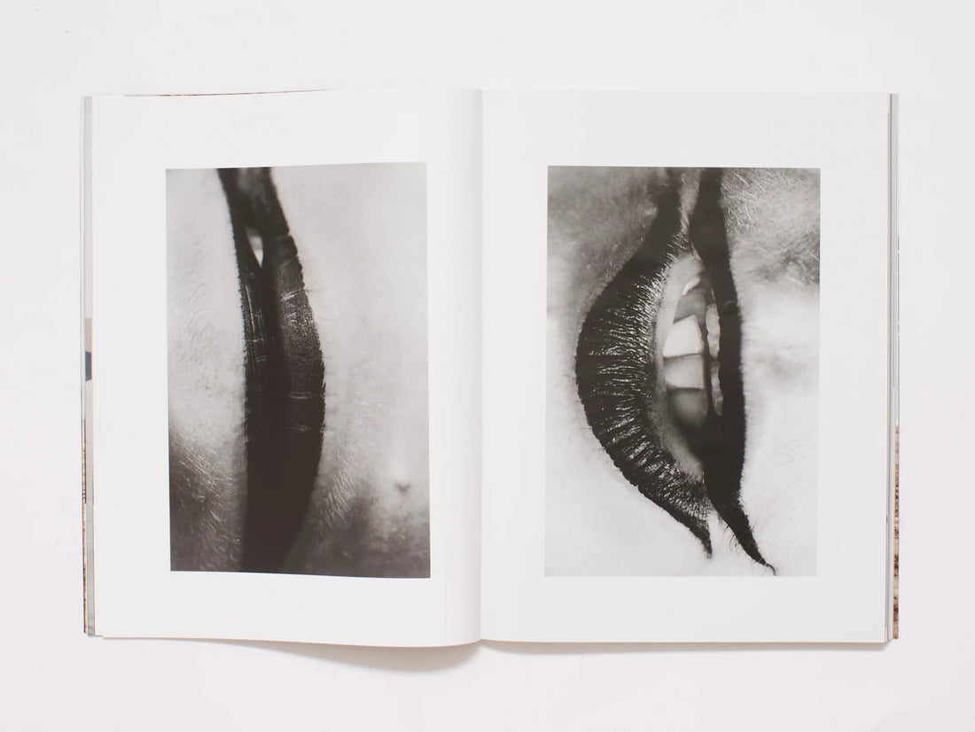 Series - N°26-41
