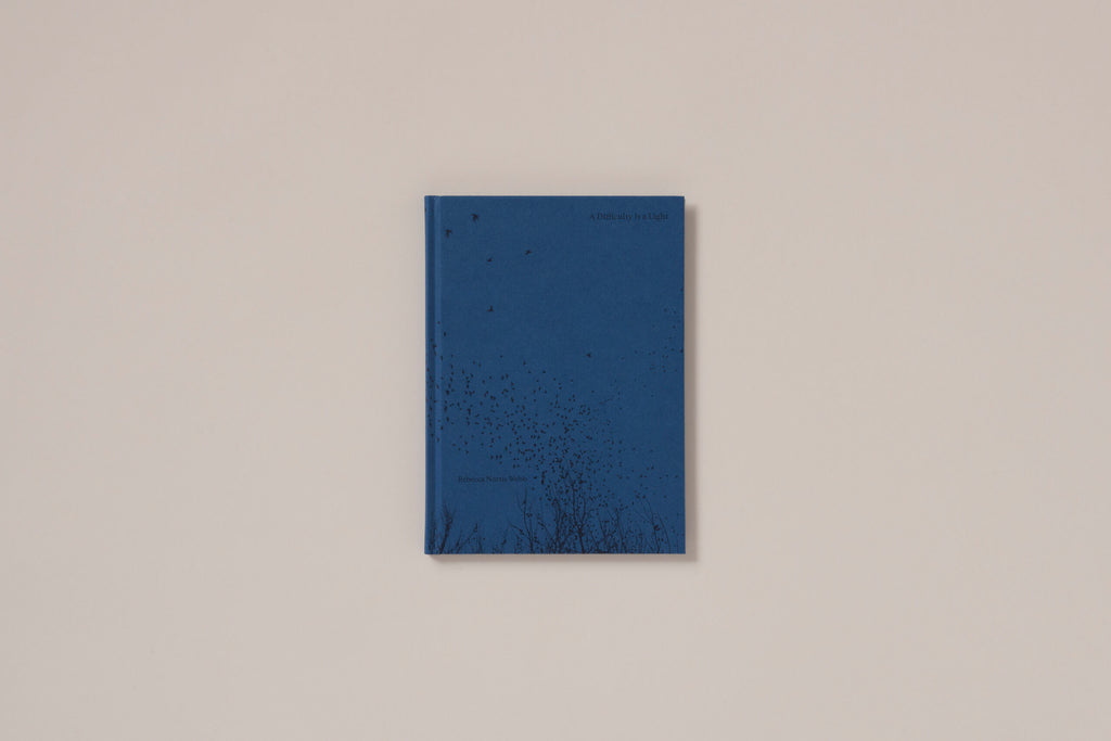 Rebecca Norris Webb - A Difficulty Is a Light