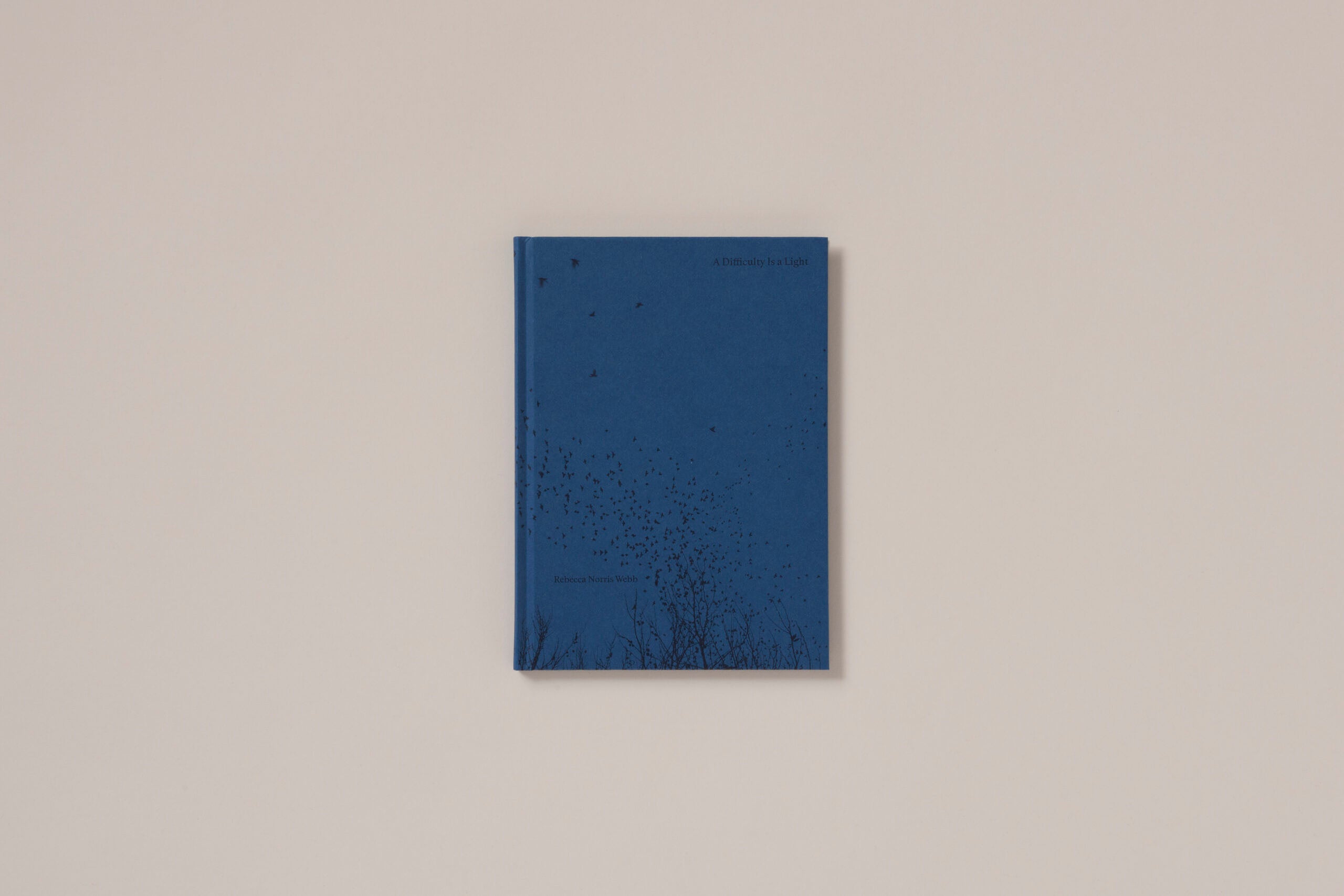 Rebecca Norris Webb - A Difficulty Is a Light