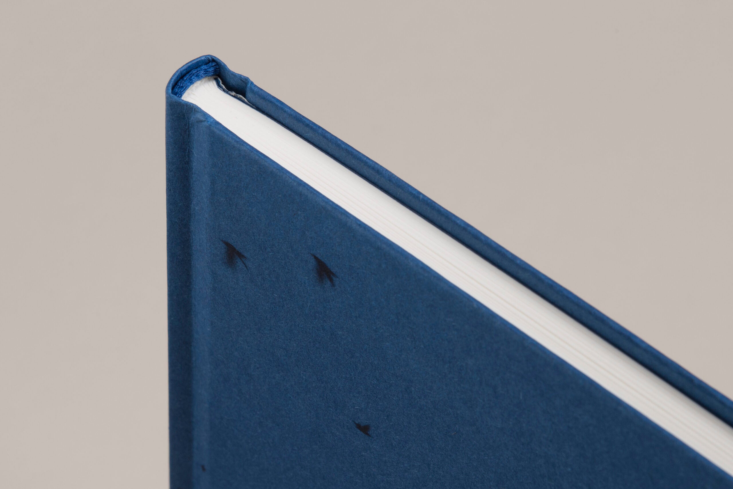 Rebecca Norris Webb - A Difficulty Is a Light