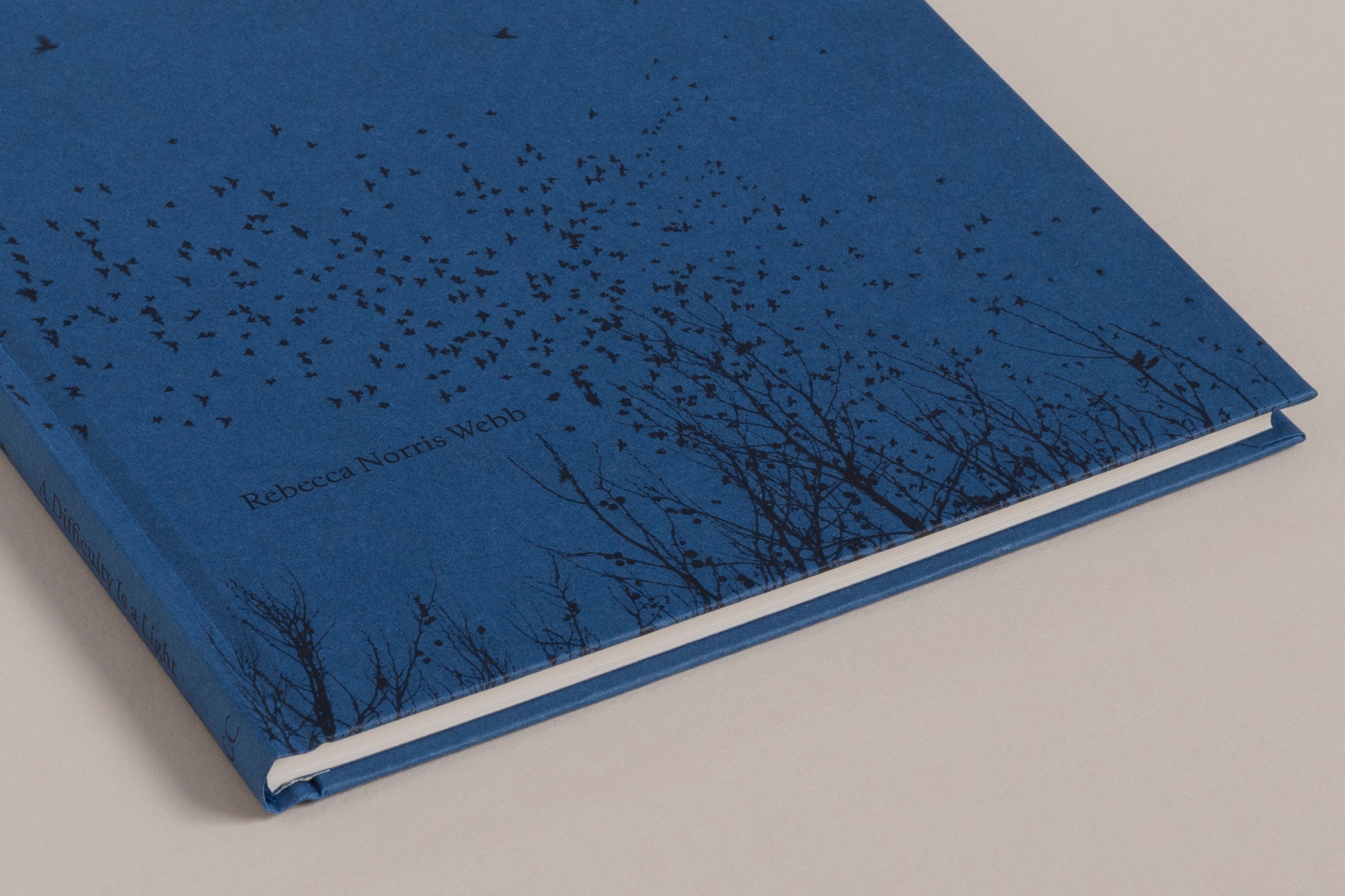 Rebecca Norris Webb - A Difficulty Is a Light