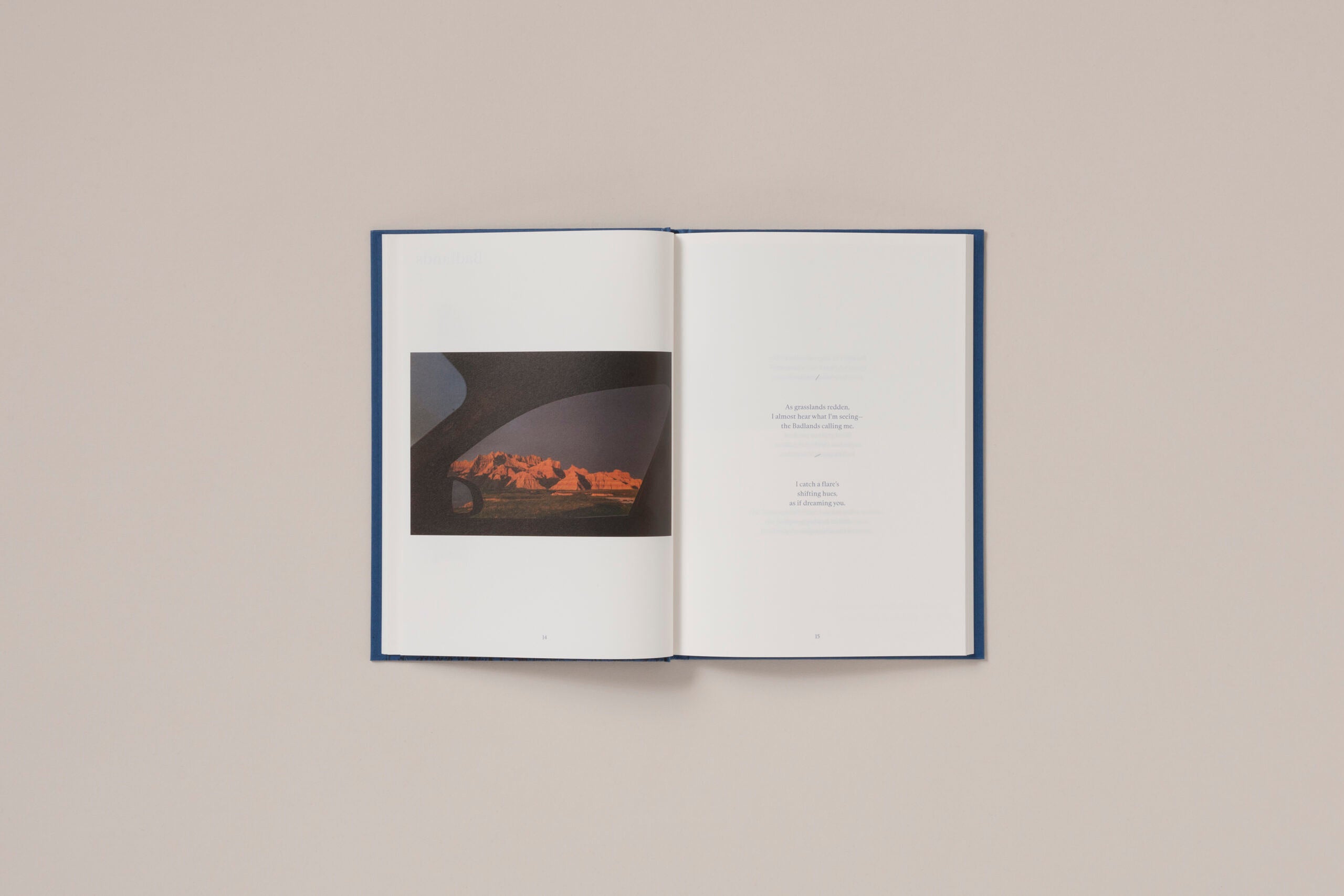 Rebecca Norris Webb - A Difficulty Is a Light