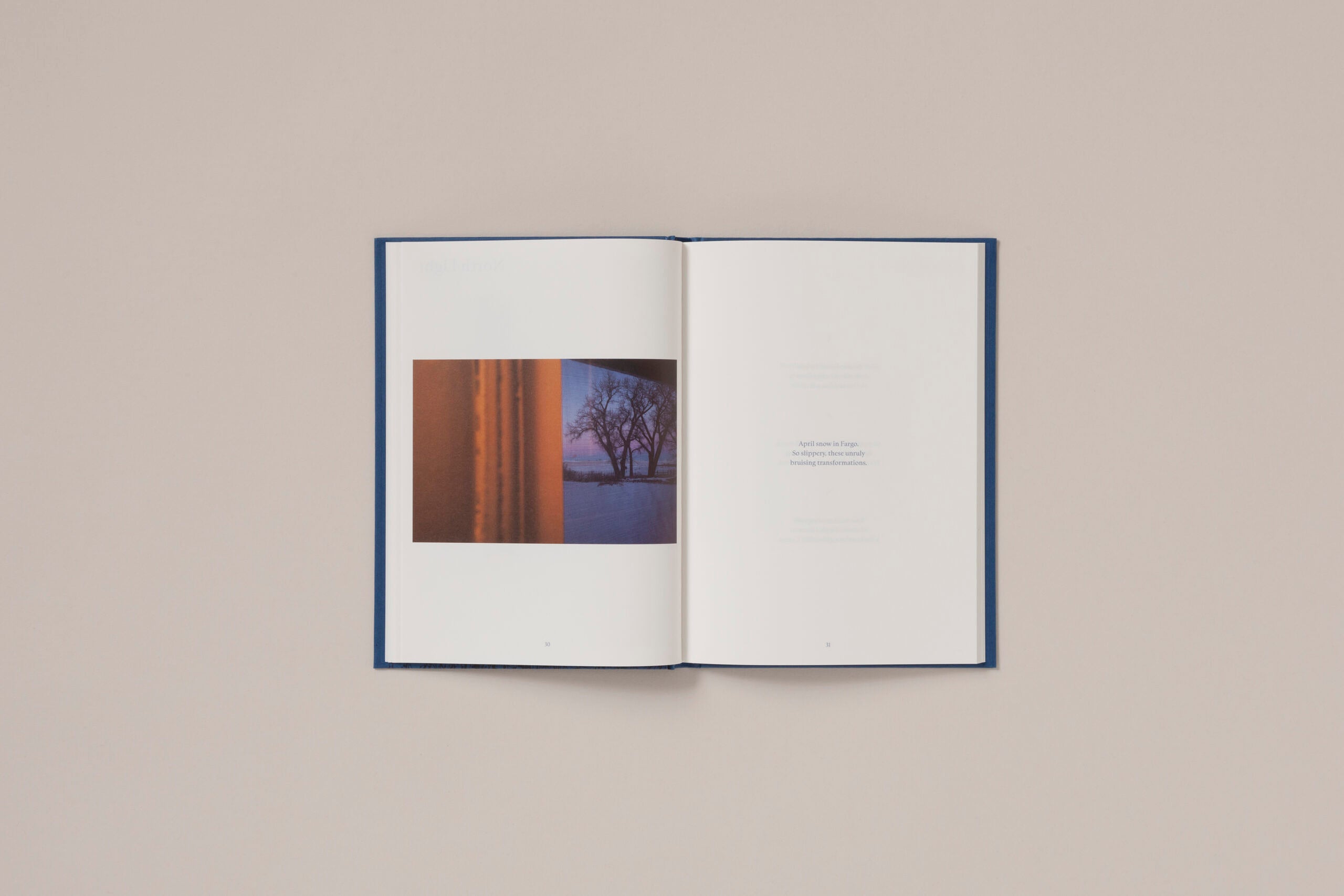 Rebecca Norris Webb - A Difficulty Is a Light