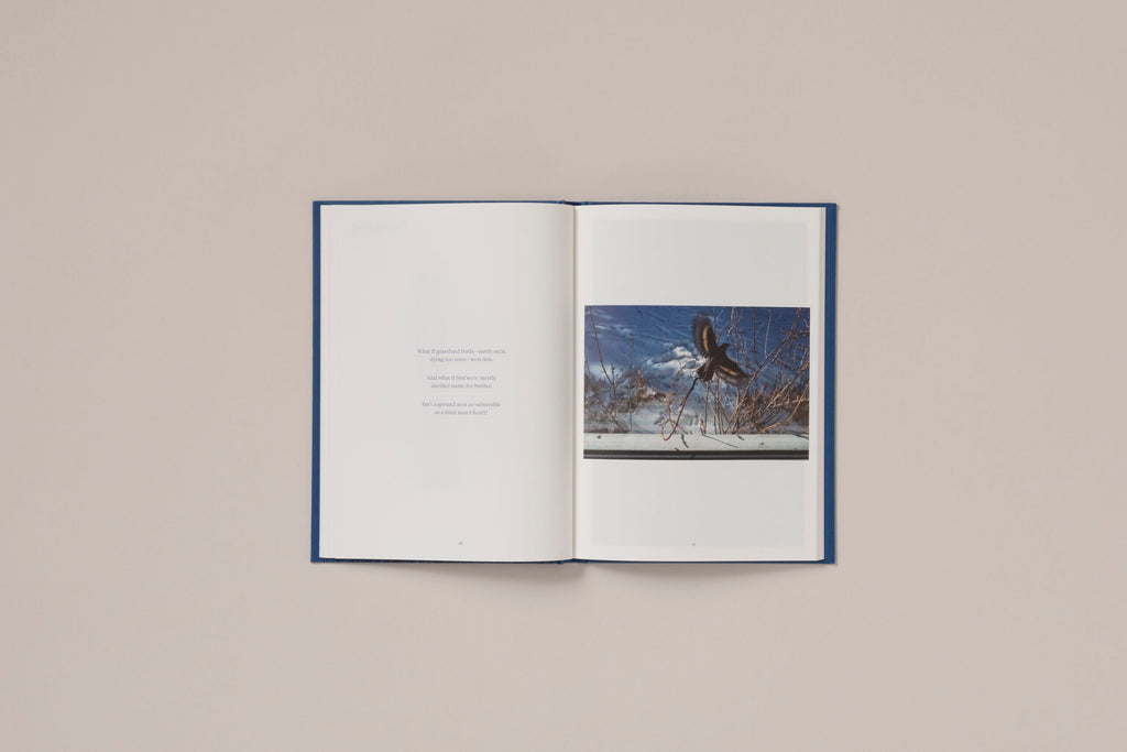 Rebecca Norris Webb - A Difficulty Is a Light