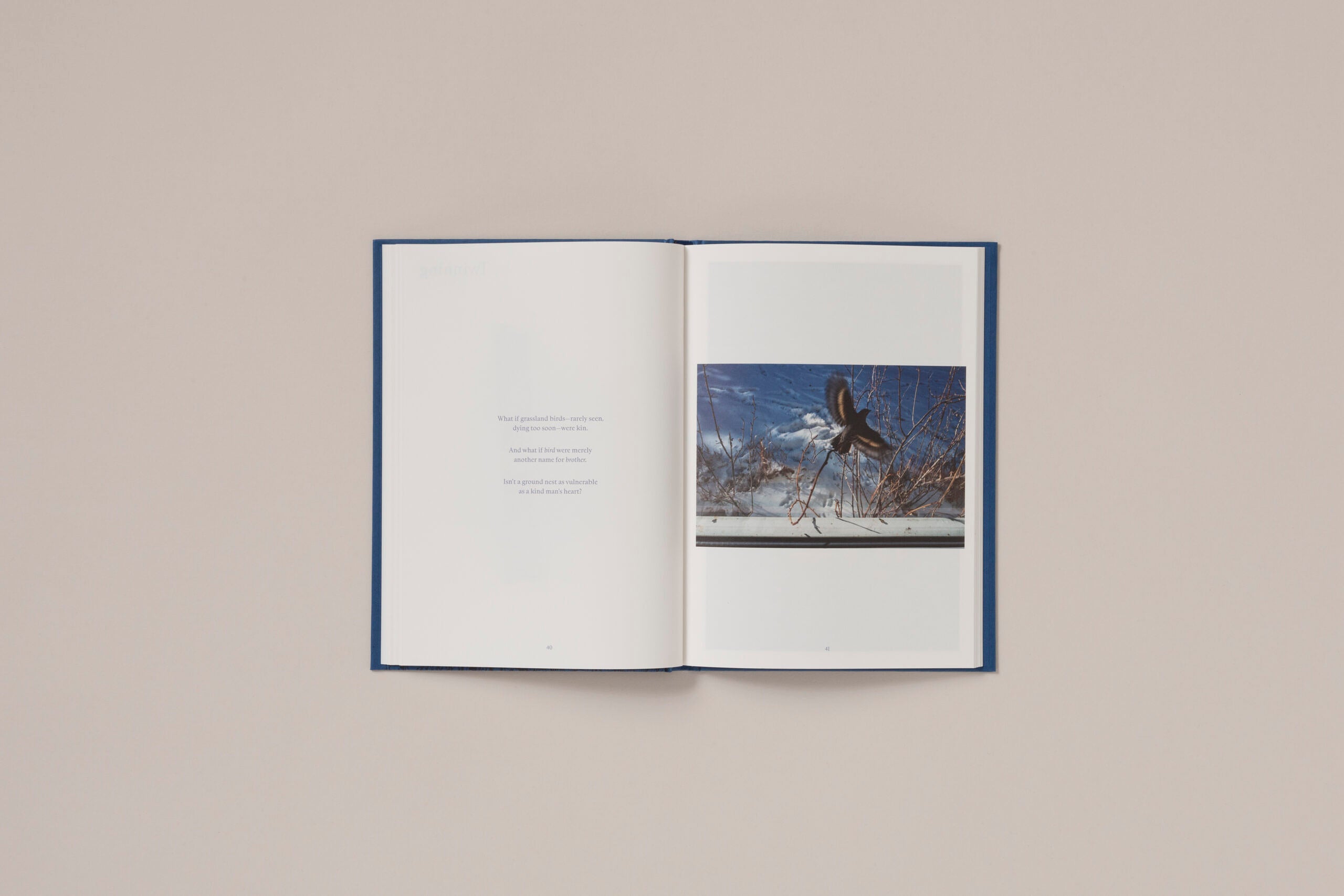 Rebecca Norris Webb - A Difficulty Is a Light