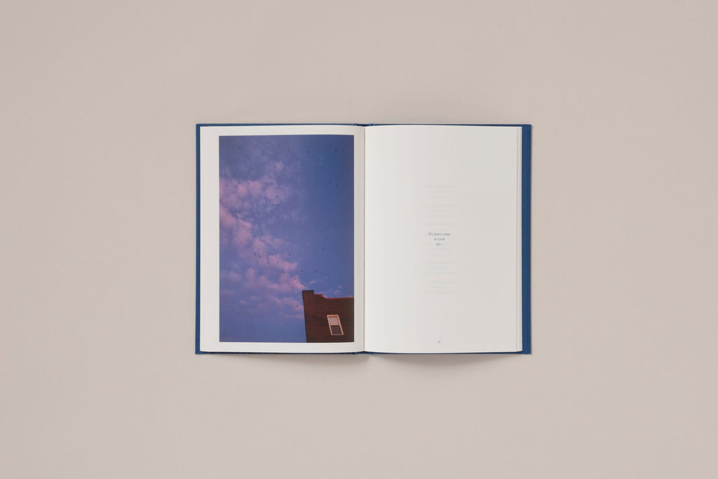 Rebecca Norris Webb - A Difficulty Is a Light
