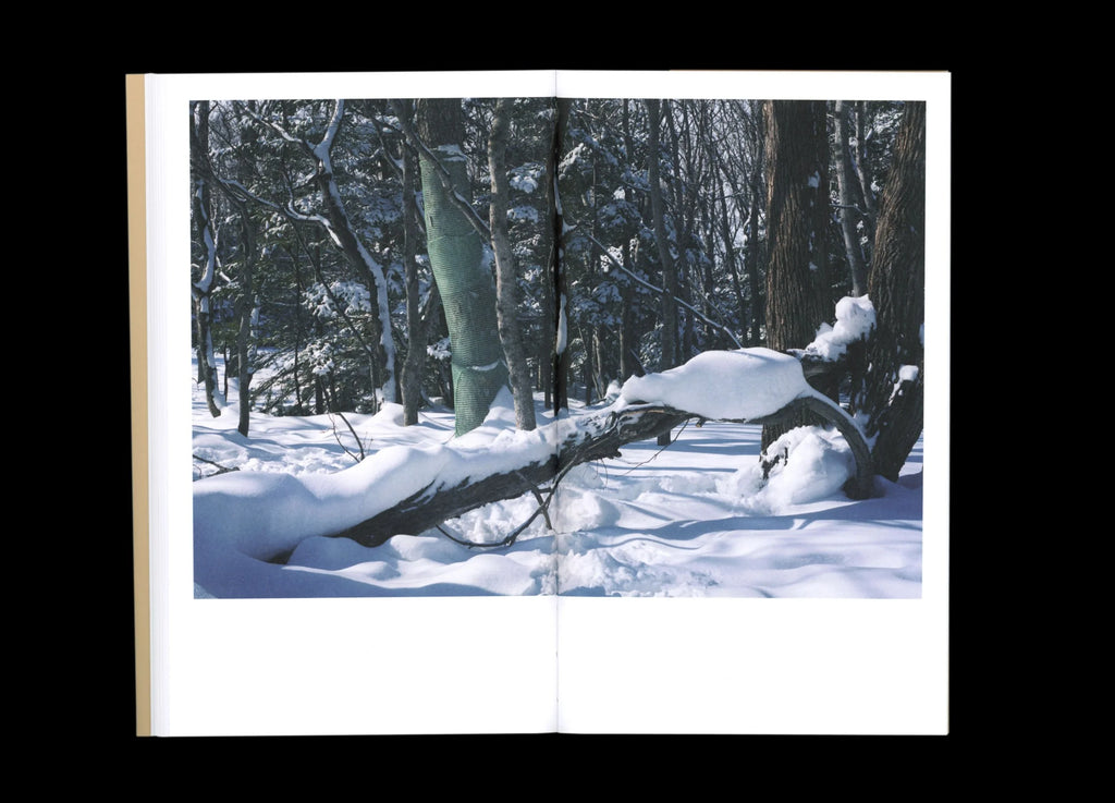 Takashi Homma - BTS (Behind The Scenes)