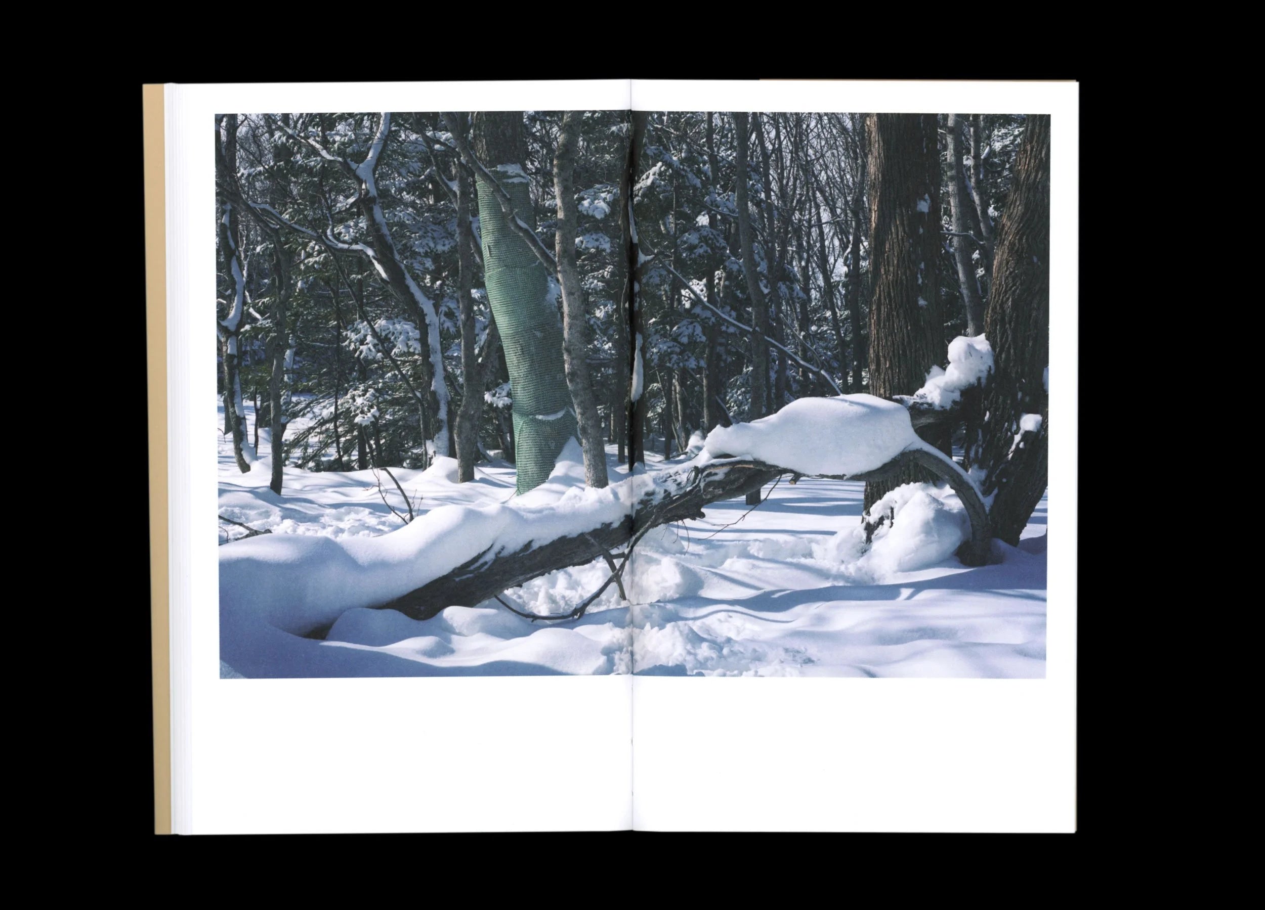 Takashi Homma - BTS (Behind The Scenes)