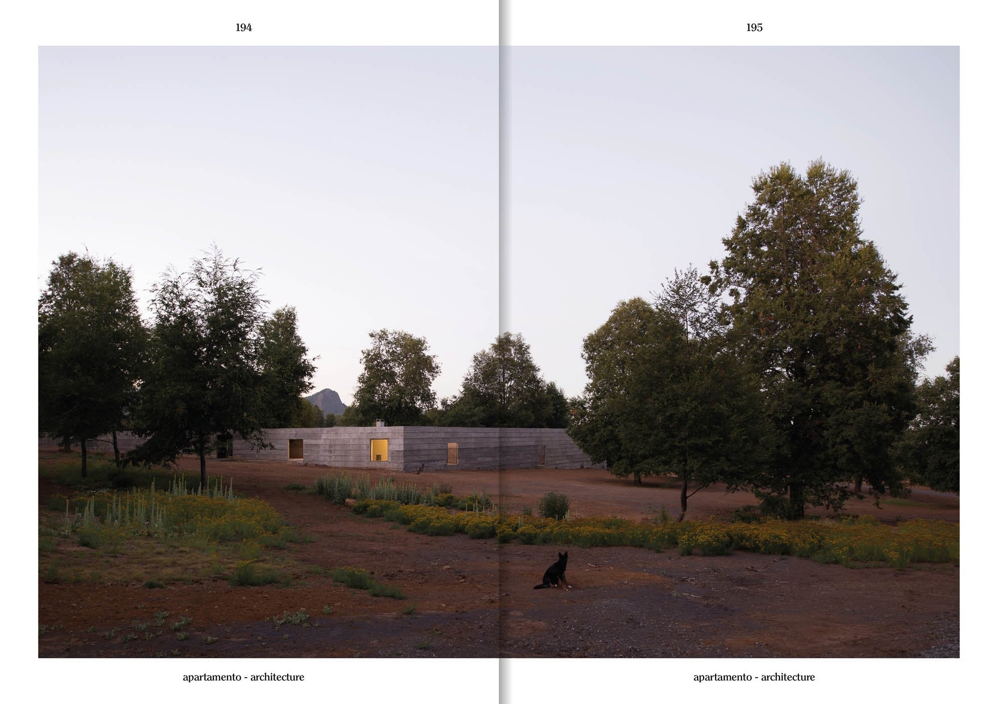 Apartamento Issue #37