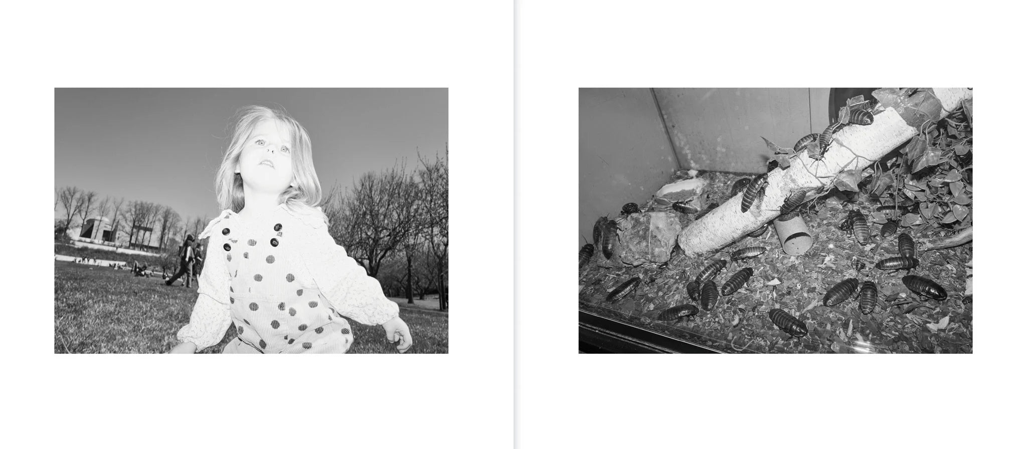 Jeremy Liebman - Coincidence