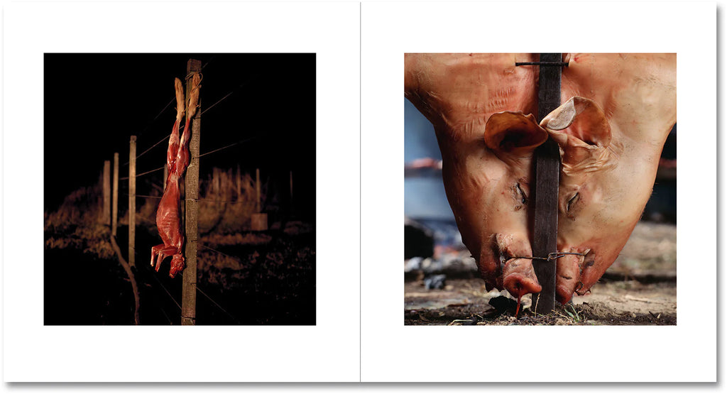 Alessandra Sanguinetti - On the Sixth Day