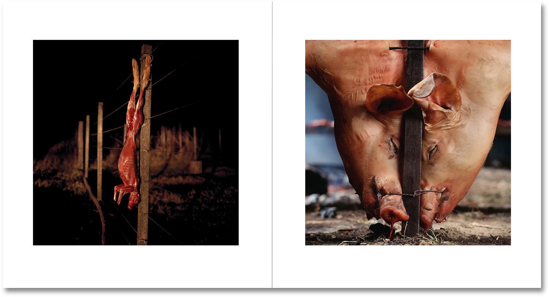 Alessandra Sanguinetti - On the Sixth Day