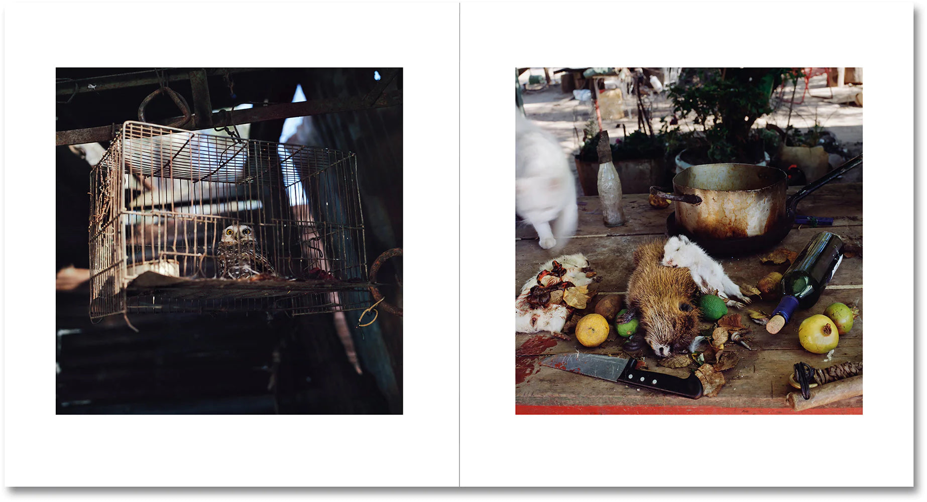 Alessandra Sanguinetti - On the Sixth Day