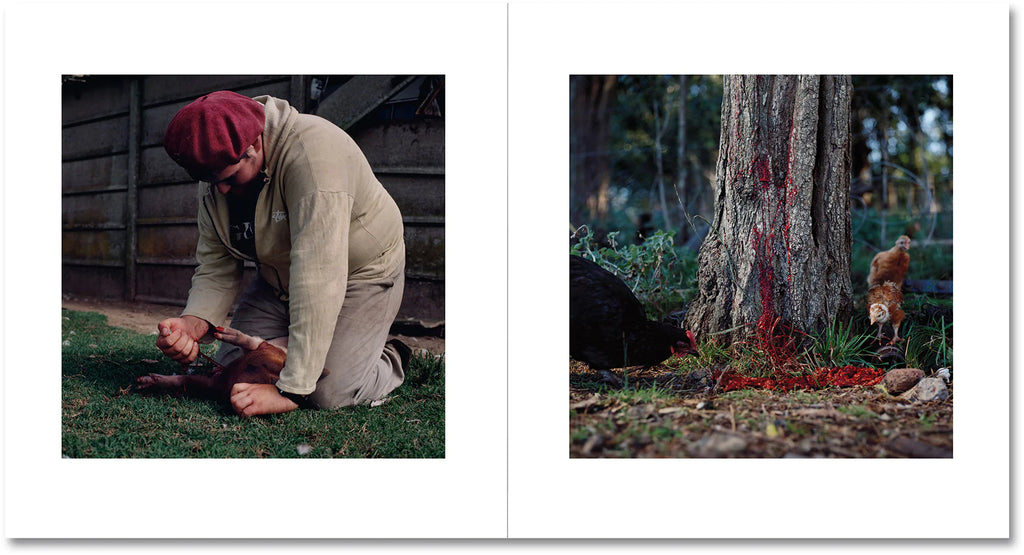 Alessandra Sanguinetti - On the Sixth Day