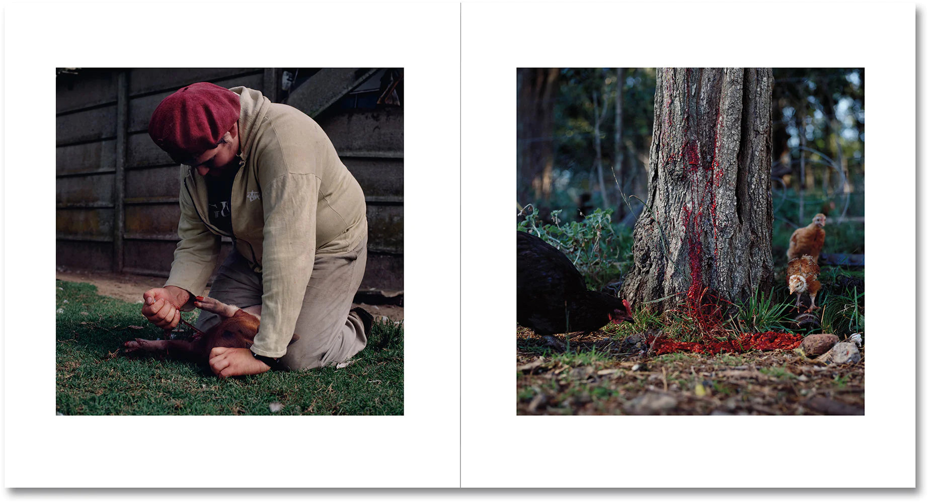 Alessandra Sanguinetti - On the Sixth Day