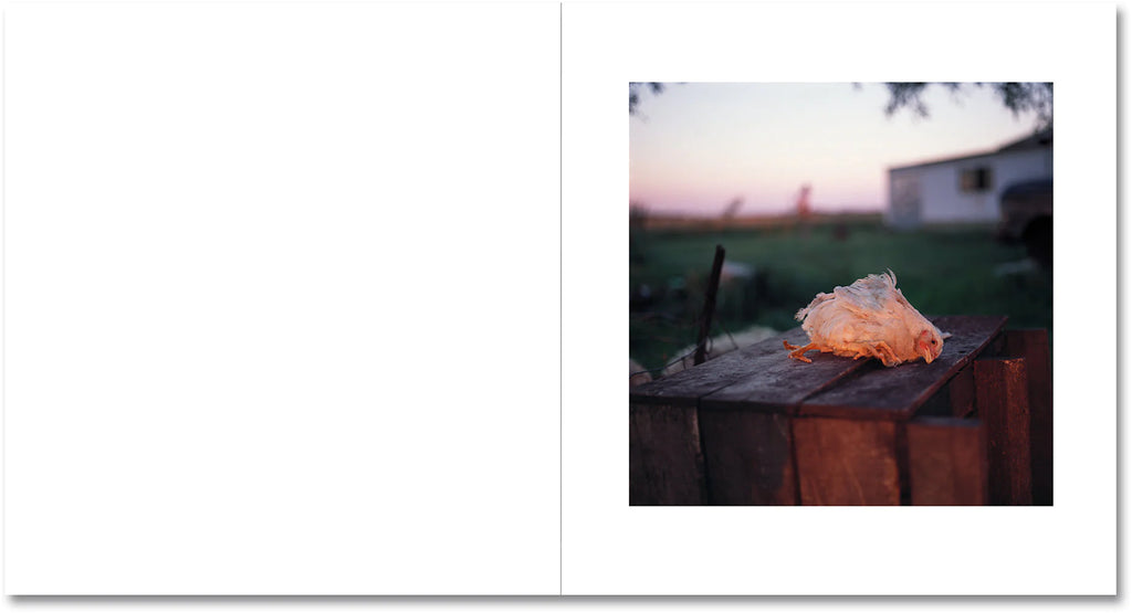 Alessandra Sanguinetti - On the Sixth Day