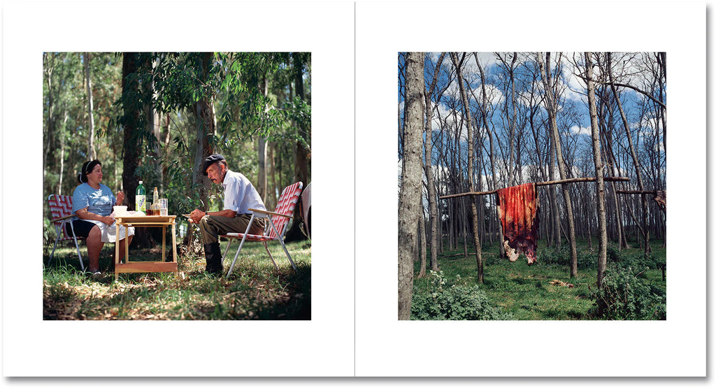 Alessandra Sanguinetti - On the Sixth Day