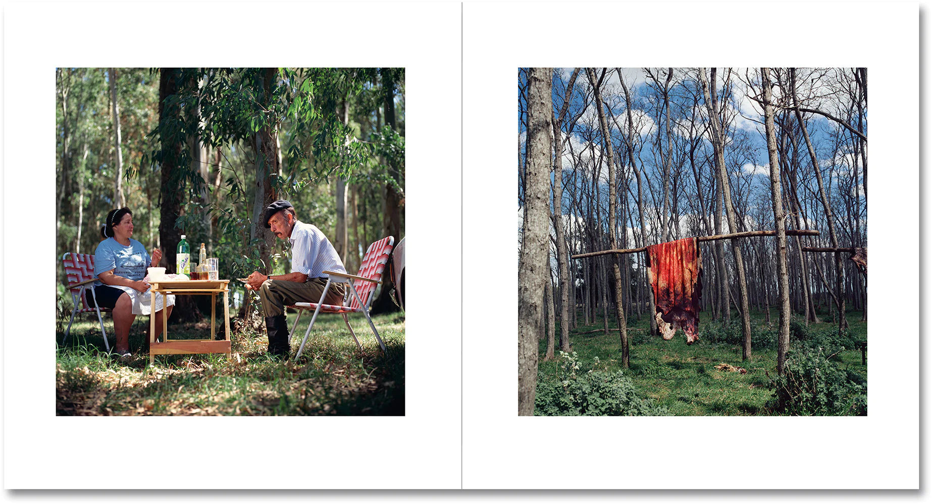 Alessandra Sanguinetti - On the Sixth Day