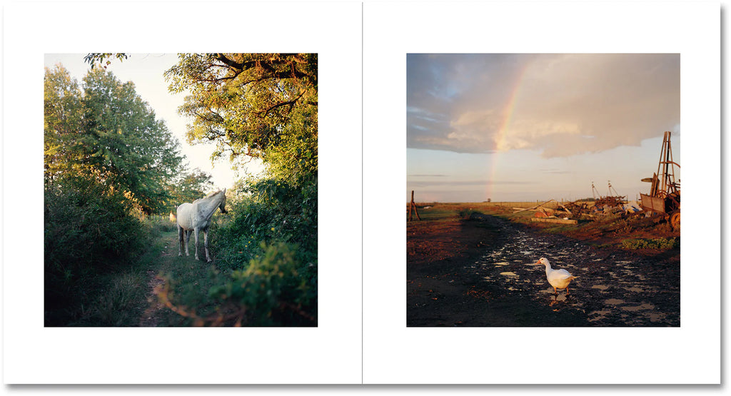 Alessandra Sanguinetti - On the Sixth Day