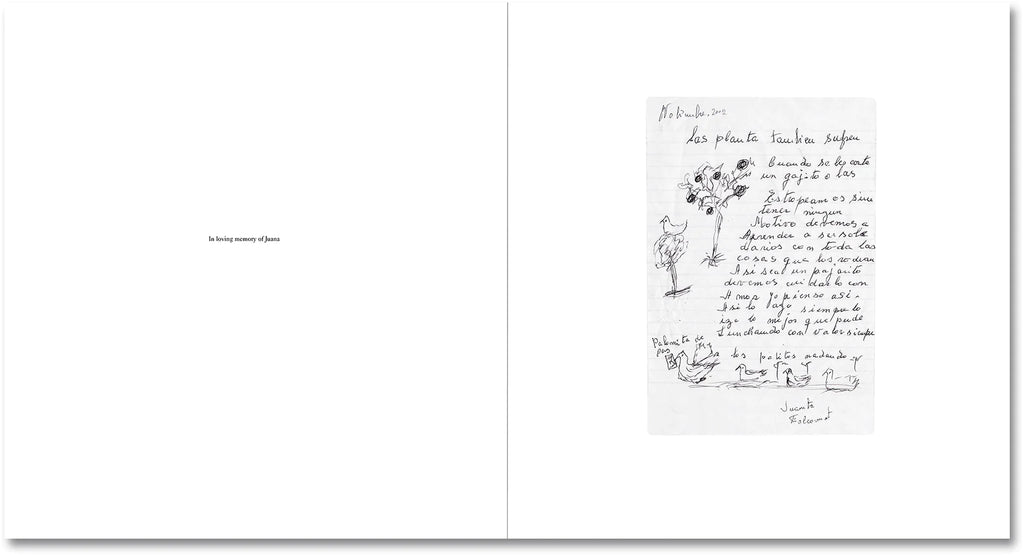 Alessandra Sanguinetti - On the Sixth Day