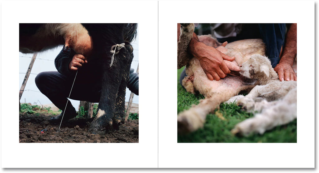 Alessandra Sanguinetti - On the Sixth Day