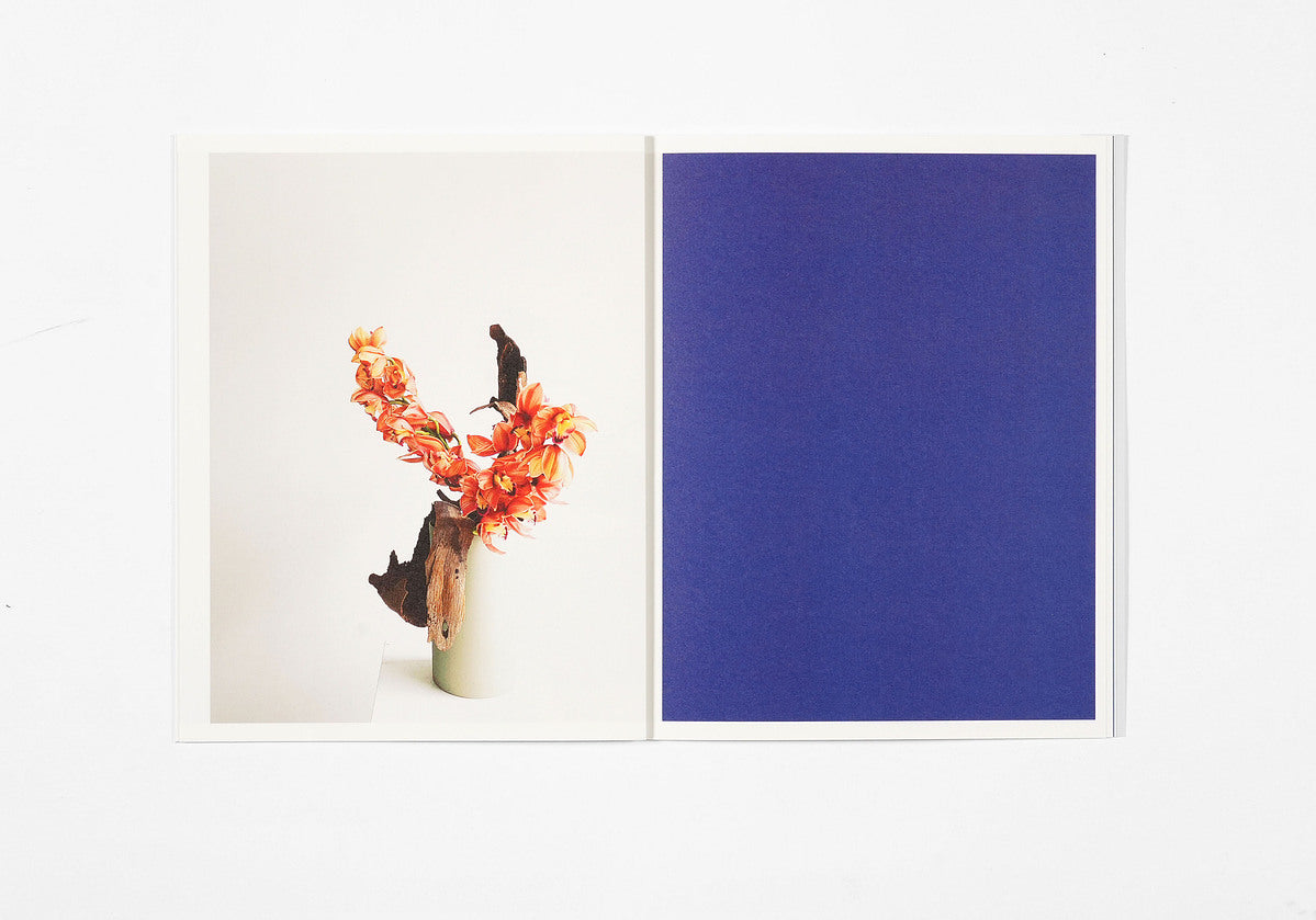 Azumi Ishikawa - Ikebana