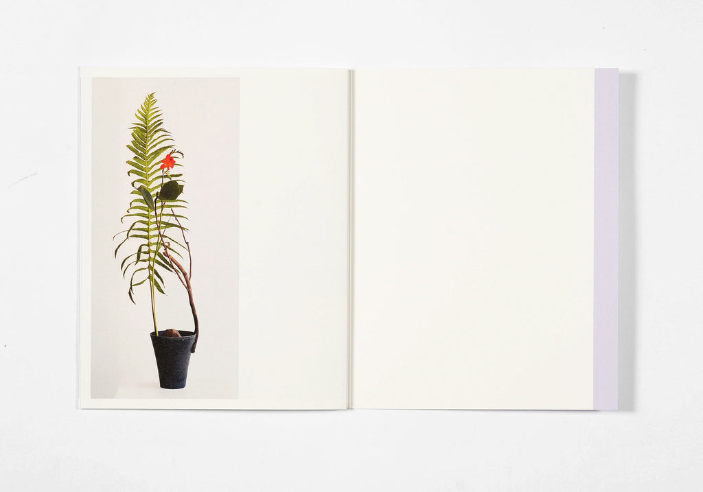 Azumi Ishikawa - Ikebana