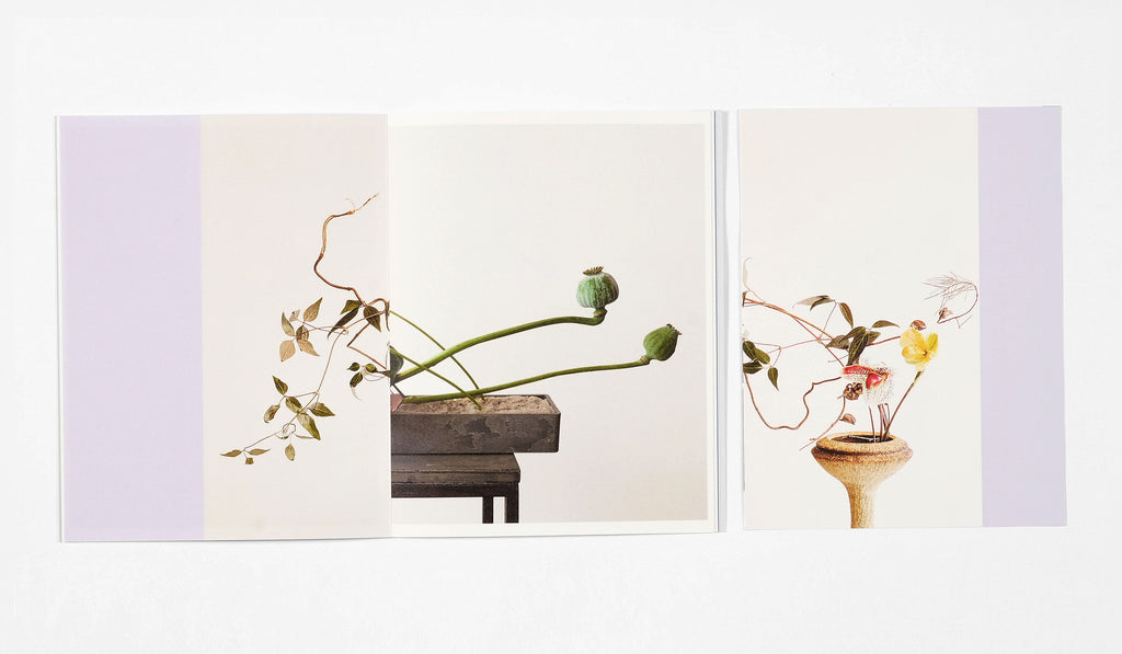 Azumi Ishikawa - Ikebana