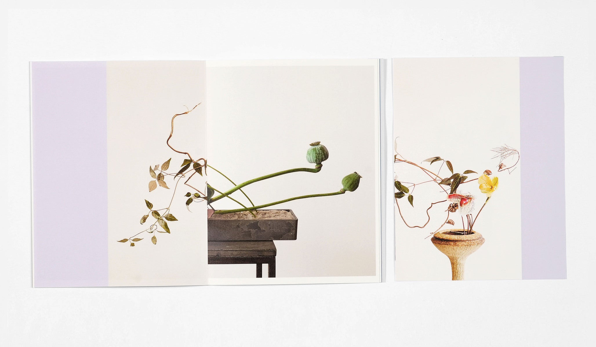 Azumi Ishikawa - Ikebana