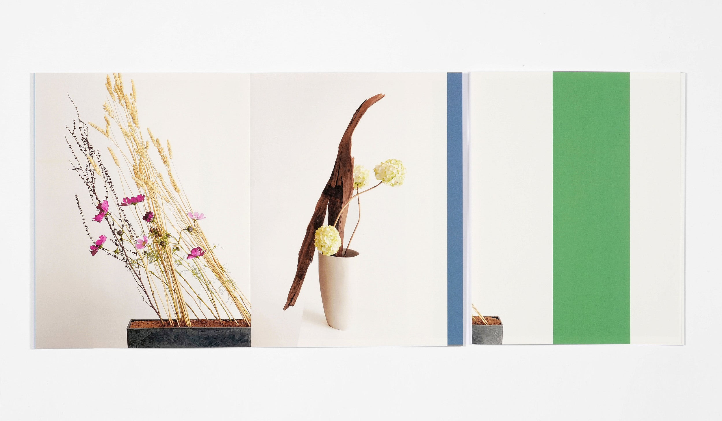 Azumi Ishikawa - Ikebana