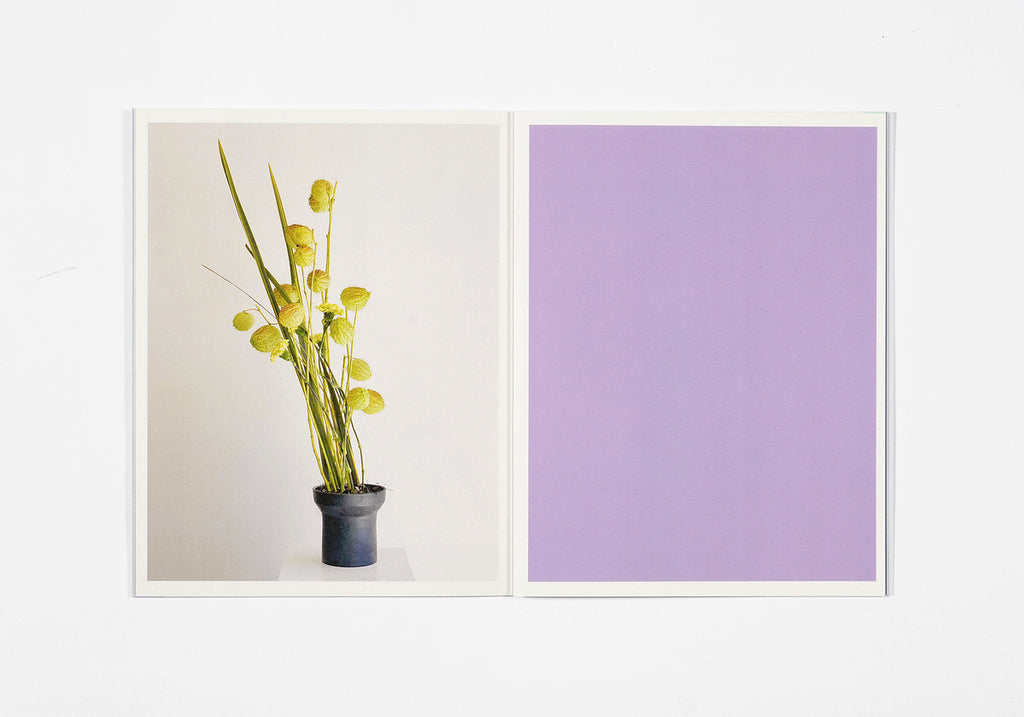 Azumi Ishikawa - Ikebana