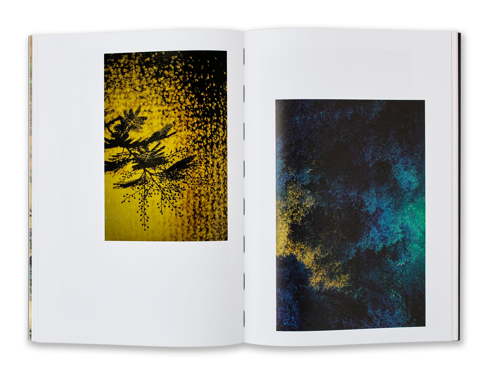 Albarrán Cabrera - Fenêtres sur l'insolite