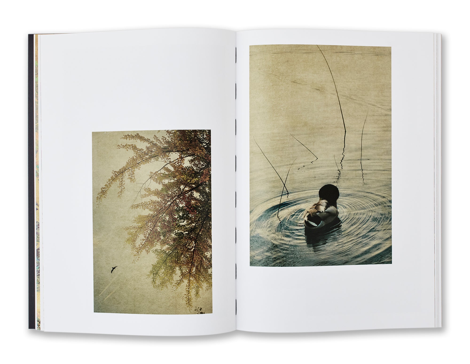 Albarrán Cabrera - Fenêtres sur l'insolite