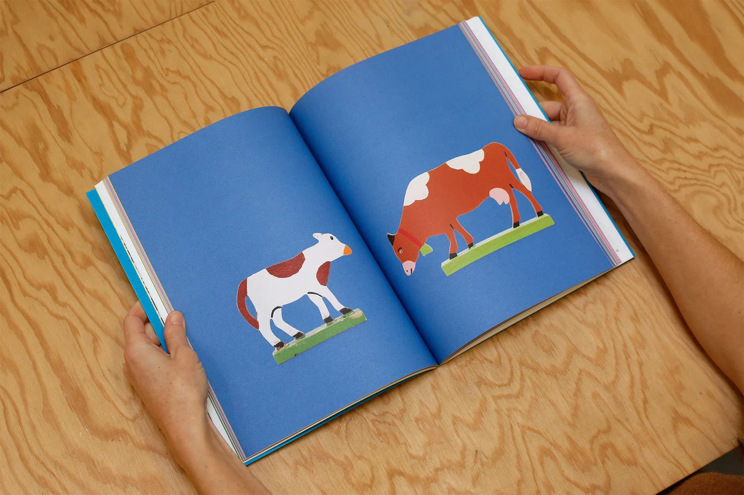 Clémence Passot - L'Alpin chez lui