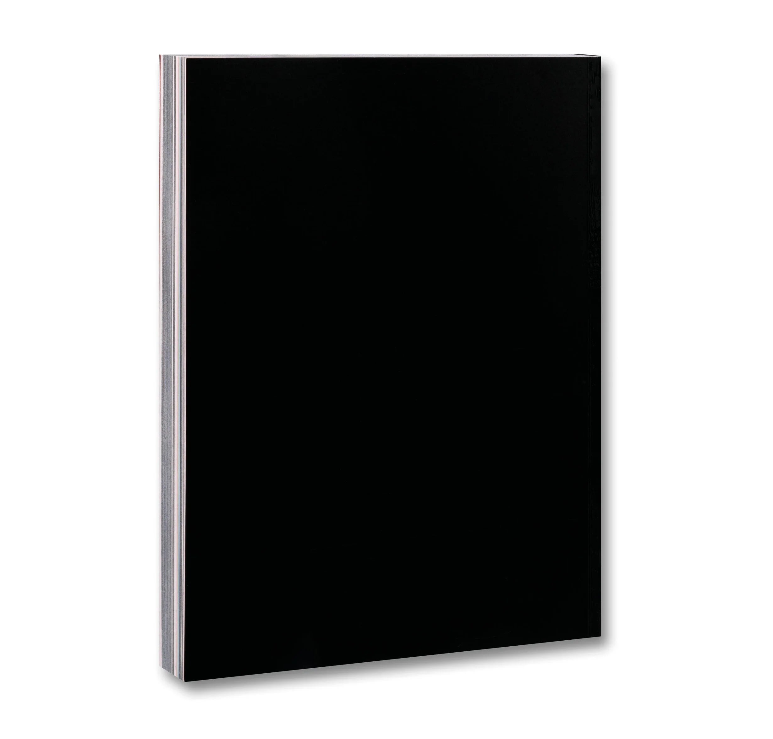 Alejandro G. Iñárritu - Amores Perros