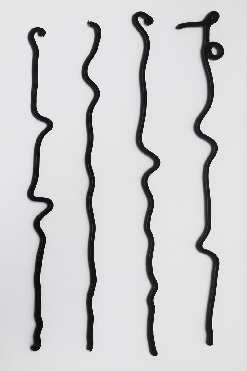 Anna Paul <br><em>Correct/<s>Incorrect</s></em>, 2025