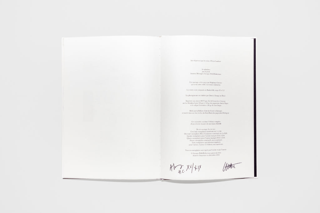 Annette Messager & Georges Didi-Huberman - Les Enfantômes