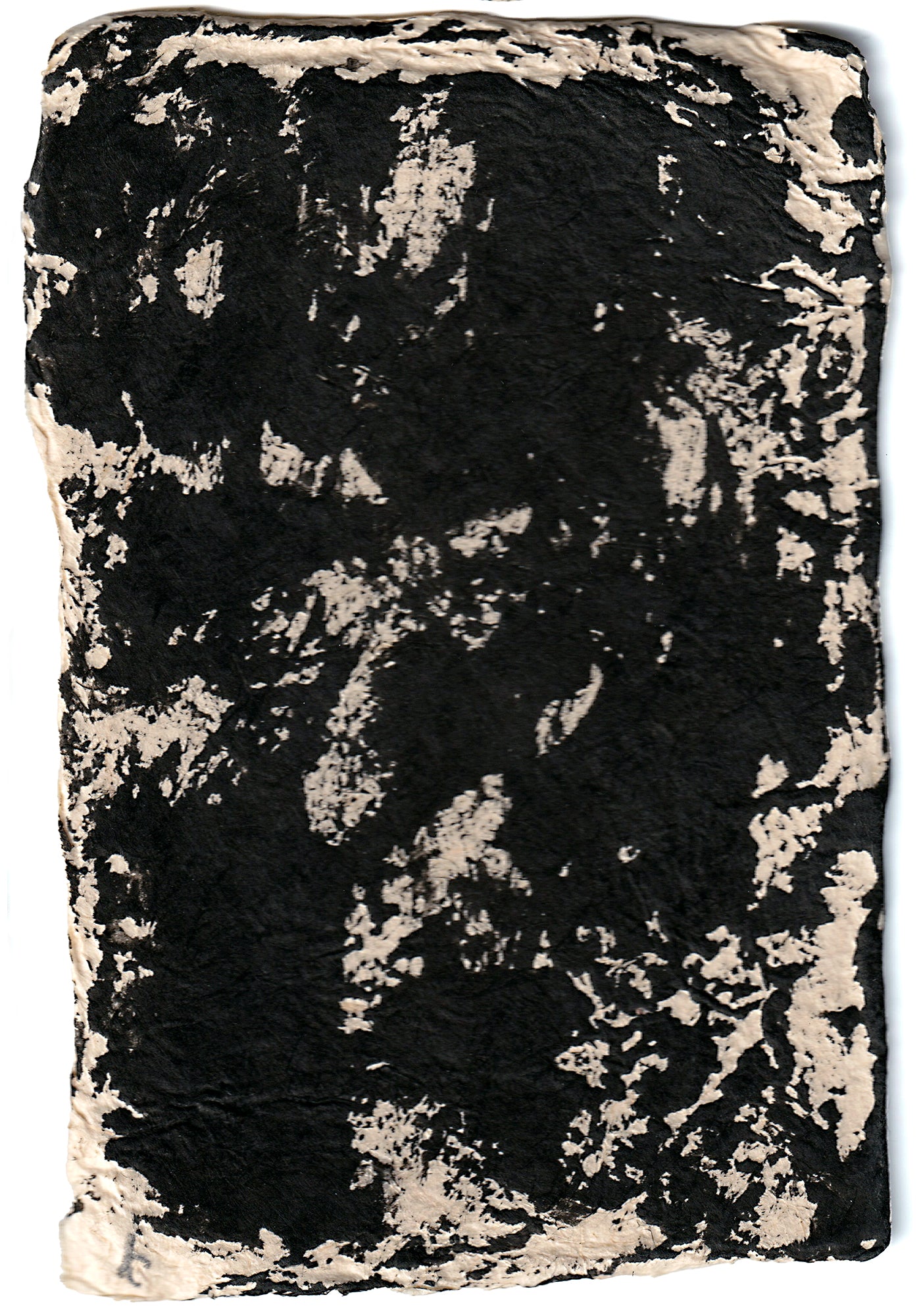 Aona Hayashi - CARTA