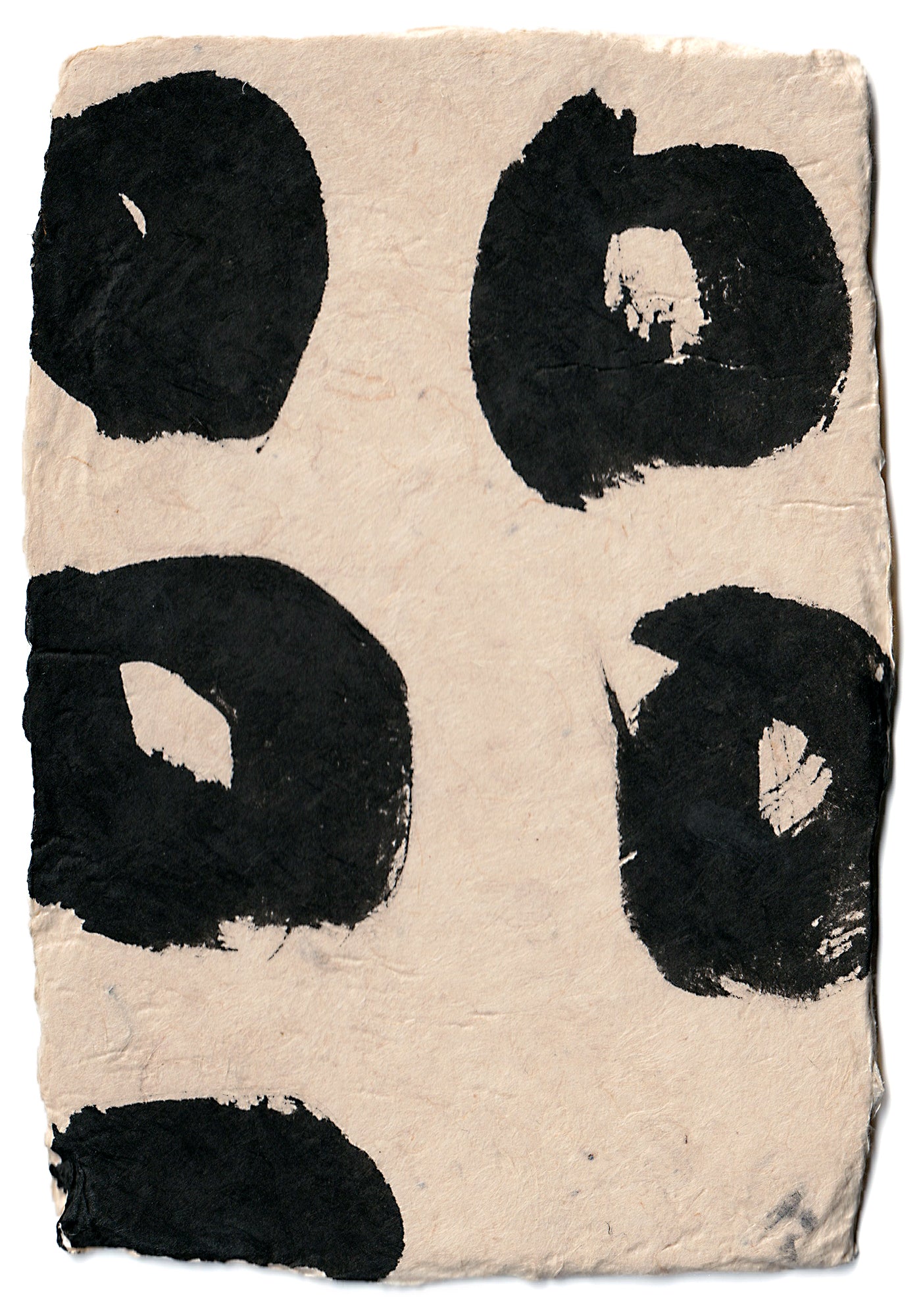 Aona Hayashi - CARTA