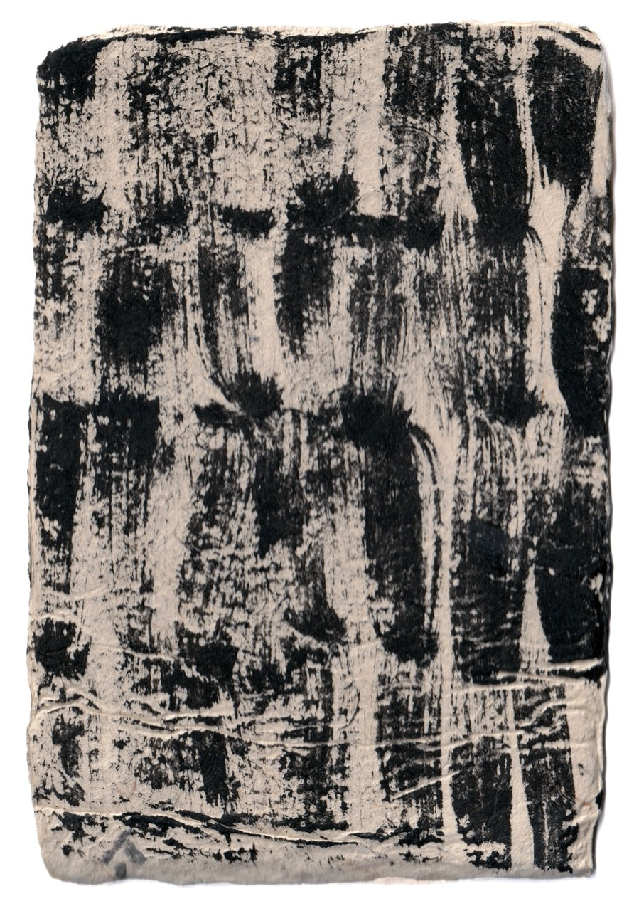 Aona Hayashi - CARTA