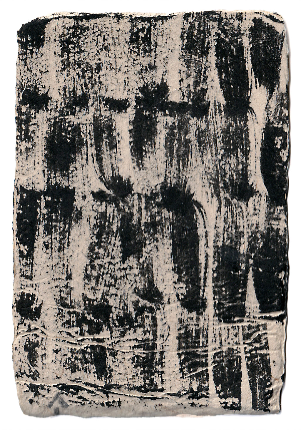 Aona Hayashi - CARTA