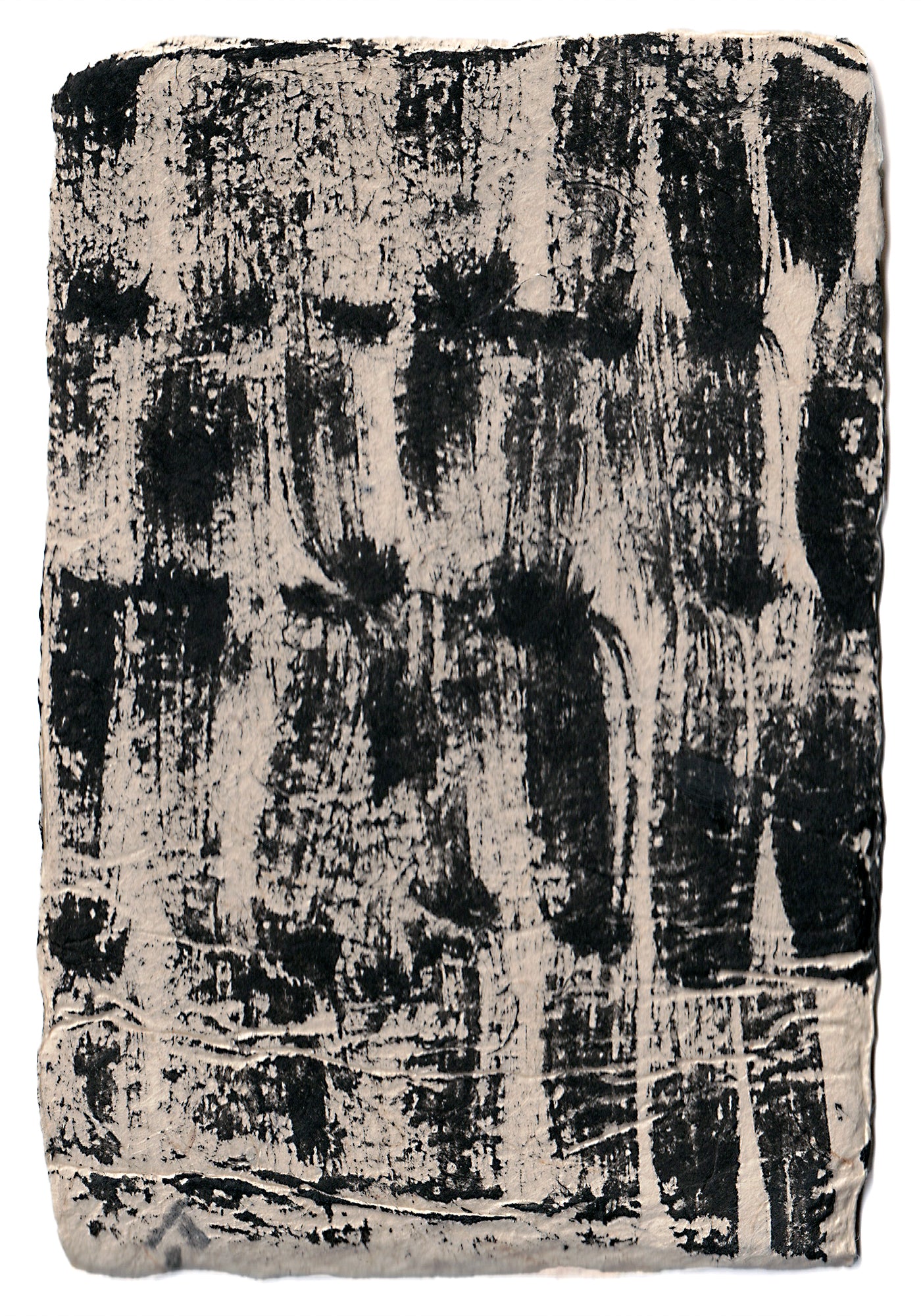 Aona Hayashi - CARTA