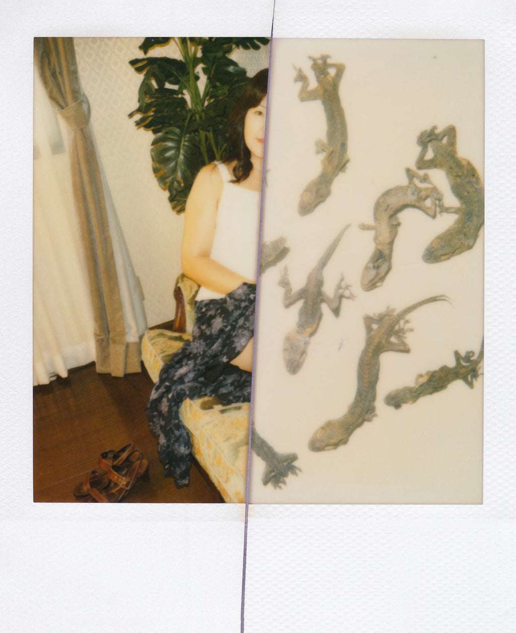 Nobuyoshi Araki <br><em>Arakiri</em>, 2014
