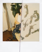 Nobuyoshi Araki <br><em>Arakiri</em>, 2014