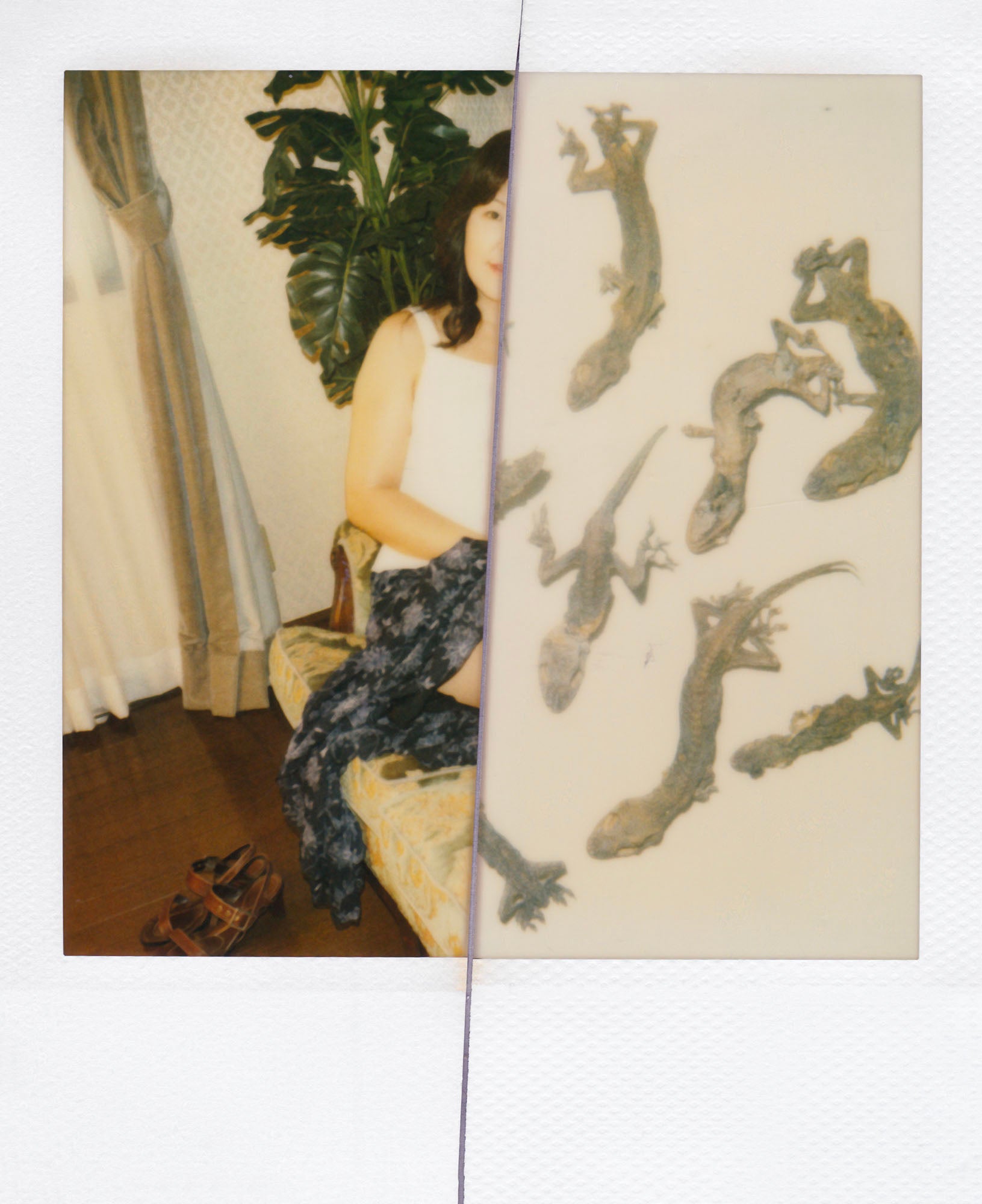 Nobuyoshi Araki <br><em>Arakiri</em>, 2014