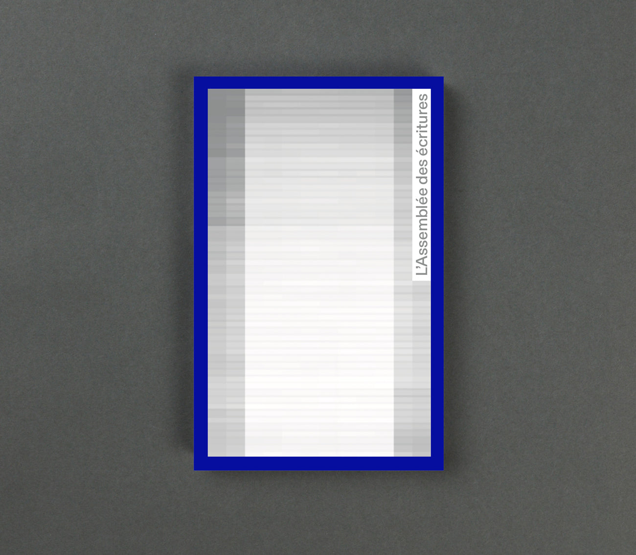 Federico Nicolao - L’Assemblée des écritures