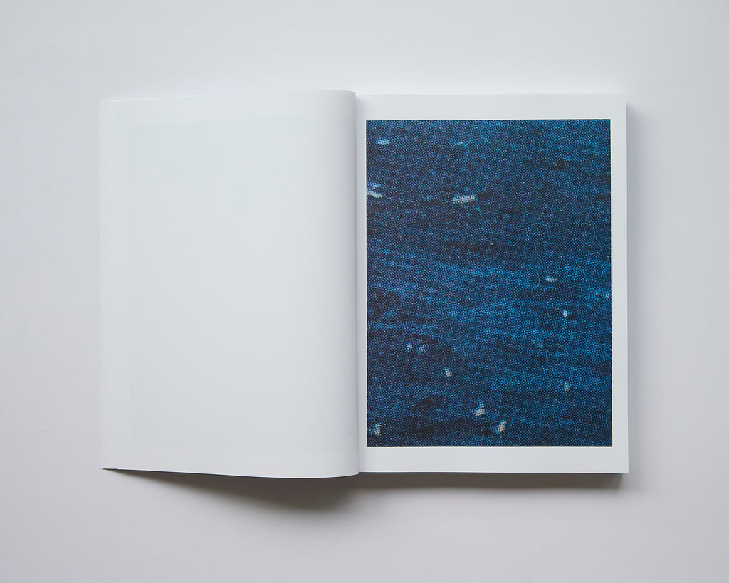 Alessio Bolzoni - Bloom or Bust